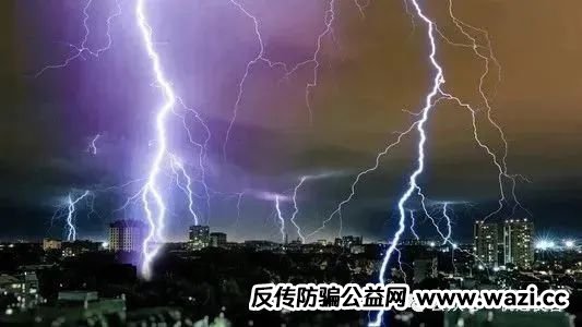 5亿“云养牛”资金盘骗局曝光！投资者血本无归！！