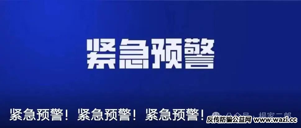 曝光资金盘骗局【兔子外汇,云誉证券,极智无界,星马集团】
