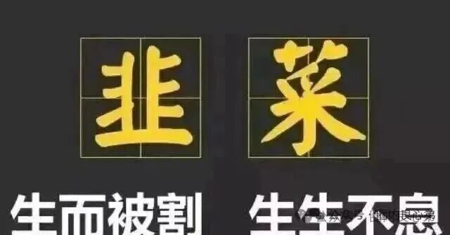 10月底最新整理8个崩盘跑路【启明创投，全球供应链，超脑智算，方舟之境，永恒协议，博发