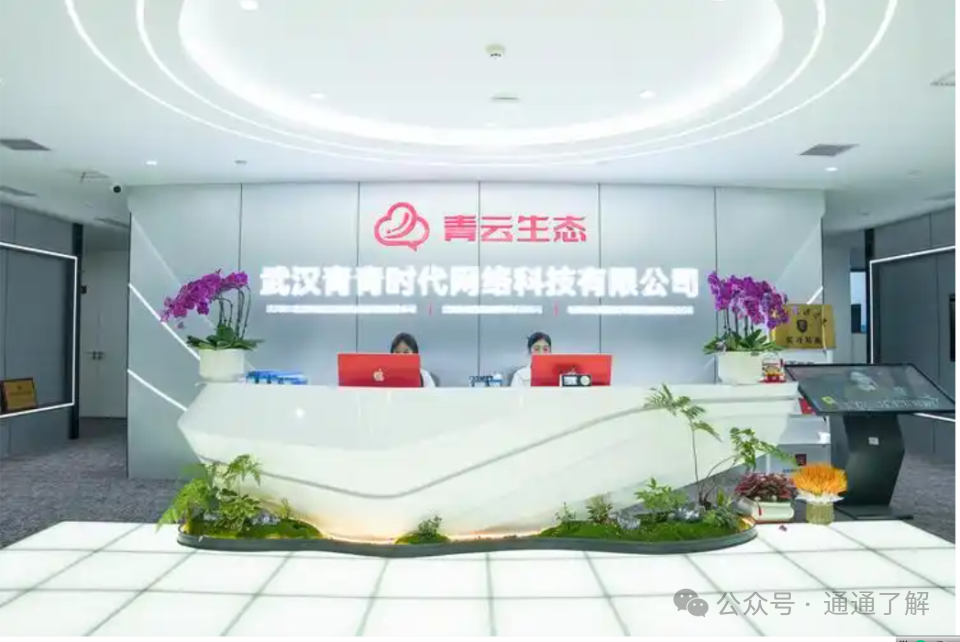 【青云租】爆雷揭秘:年化16.8%的“躺赚”骗局,如何让数千投资者血本