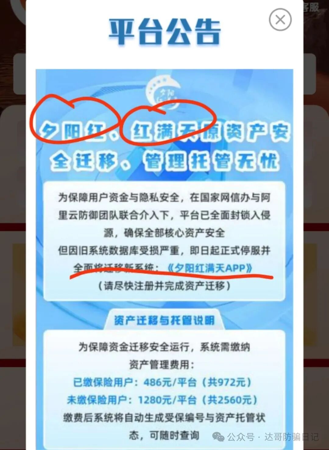 崩盘提醒:【夕阳红满天】资金盘即将收网,操盘手的狂欢,韭菜们的噩