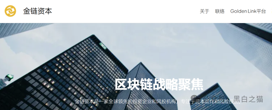 资金盘｜电诈团伙伪冒“金链资本”项目，非法敛财，揭秘国内洗钱通道.....