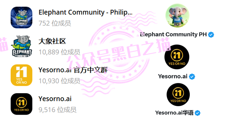 【YESORNO+大象社区】项目背景虚造，涉及私设赌场罪，团队长好自为之......